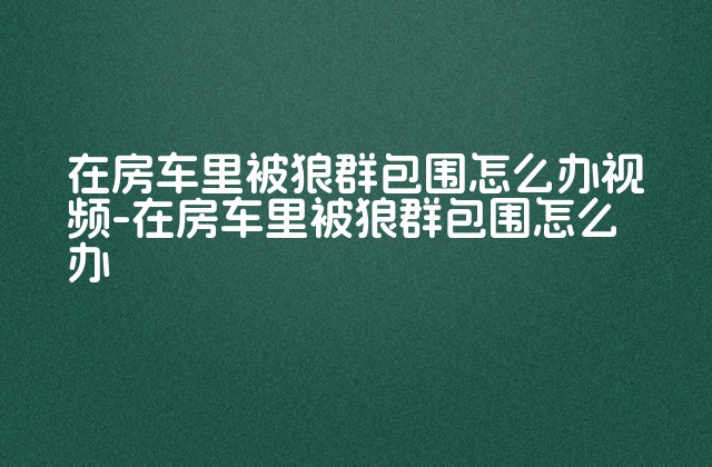 在房车里被狼群包围怎么办视频-在房车里被狼群包围怎么办-第1张